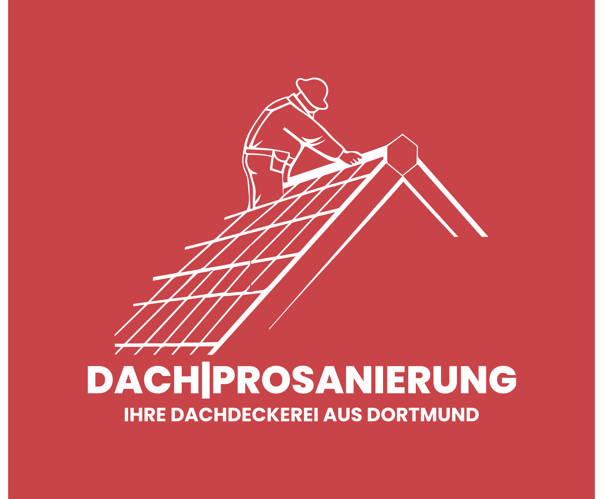 Dach Prosanierung